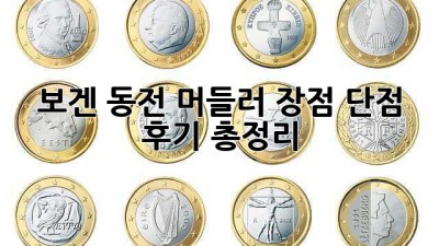 보겐 동전 머들러: 장점, 단점, 후기 총정리
